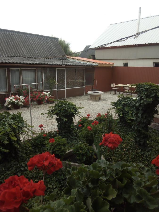 Vadkacsa Apartmanhaz Medencevel Zamárdi Dış mekan fotoğraf
